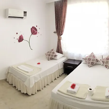 Santosa 3* كاس