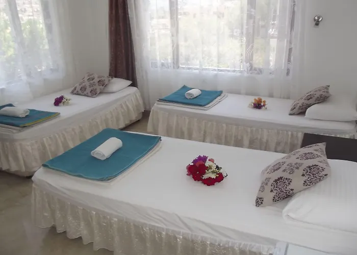 Guest house Santosa 3*