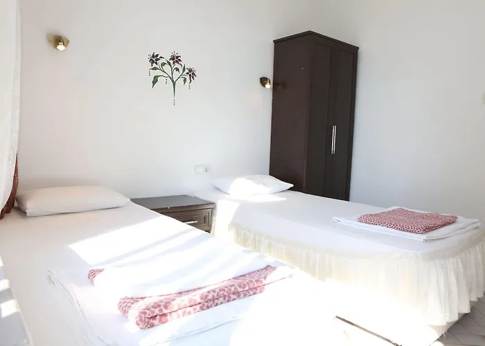 Santosa Guest house 3*